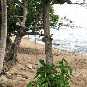 Meet your Posher, Felix